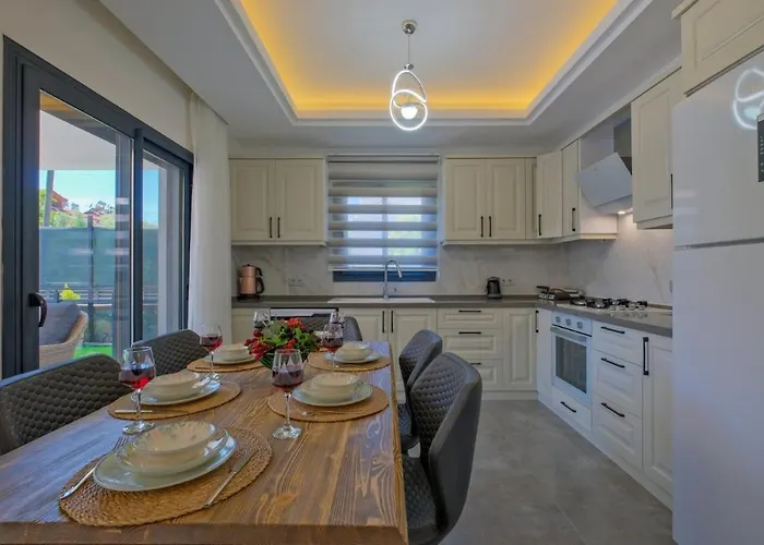 White Palm 1 Fethiye